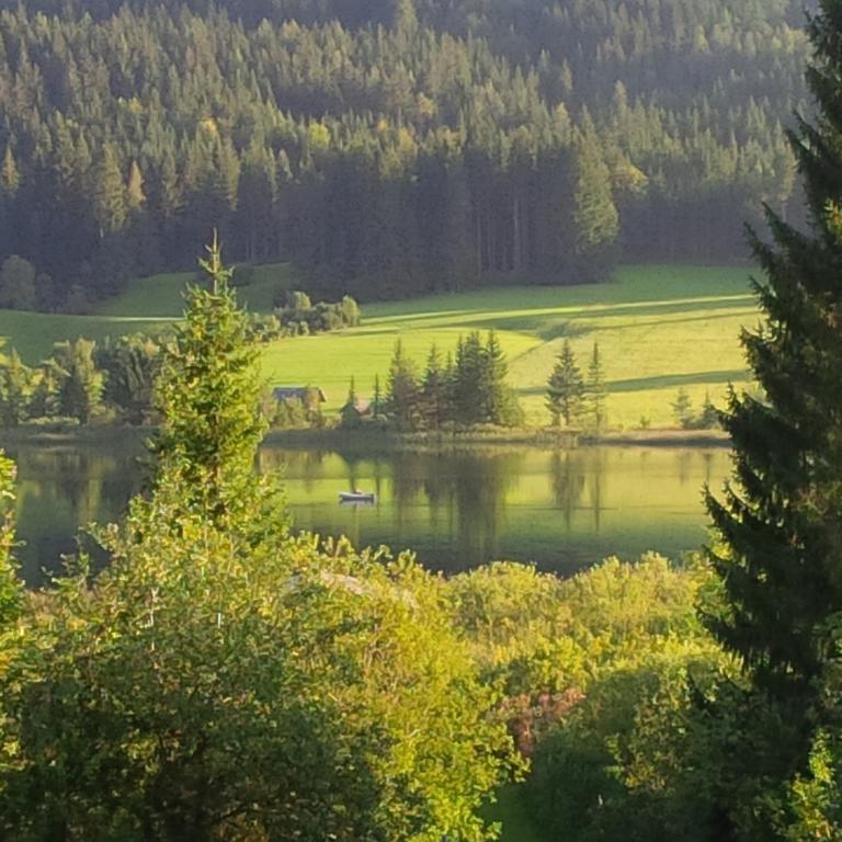 Seehaus Verena Weissensee Kamer foto